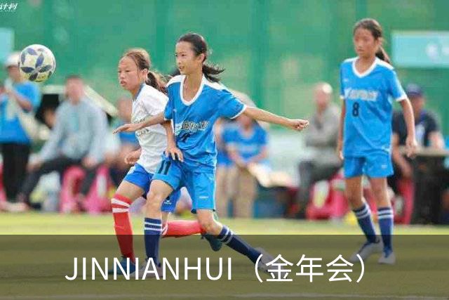 JINNIANHUI（金年会）公司简介图片
